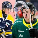24-årige Erik Thorwalls meddelar att karriären är över.