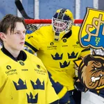 Vilmer Salén Forsberg byter Södertälje mot Brantford.