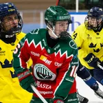 Benjamin Nyström, Bosse Meijer och Milan Sundström är spännande inför NHL-draften nästa säsong.