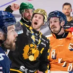Hockeysverige.se utser SHL:s bästa backar.
Foto: Bildbyrån