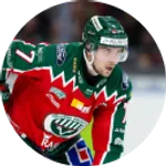 Henrik Tömmernes