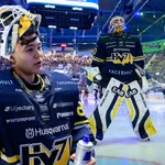 Herman Liv storspelade direkt i debuten för HV71. 