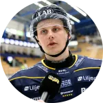 Hugo Pettersson