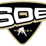 SDE Hockey