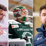 Ranking av Hockeyettan: Favoriterna – de kan ta klivet upp