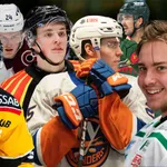 LISTA: Alla hemvändare i SHL