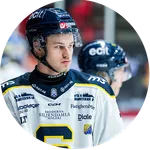 Karl Sterner