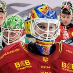 Hockeysverige.se har röstat fram SHL:s bästa målvakter.