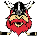 Nybro Vikings IF