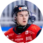 Gustav Salmi Lilja