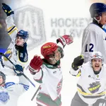 RANKING: Hockeyallsvenskans bästa forwardssidor