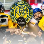 TV-pucken: Kommentarer om ALLA spelare – Stockholm