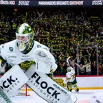 Lassi Lehtinen fick en drömstart i Björklöven.